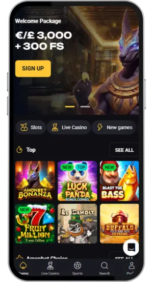 Visit the officia casino site